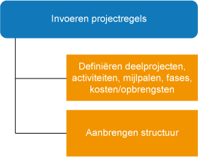 Invoeren projectregels