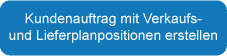 Kundenauftrag mit Verkaufs- und Lieferplanpositionen erstellen